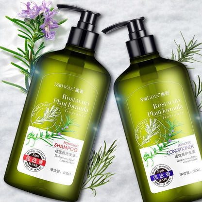 Rosemary Shampoo Body Wash MOHOIX, Rosemary Extract for Hair Care, Refreshing And Oil Control