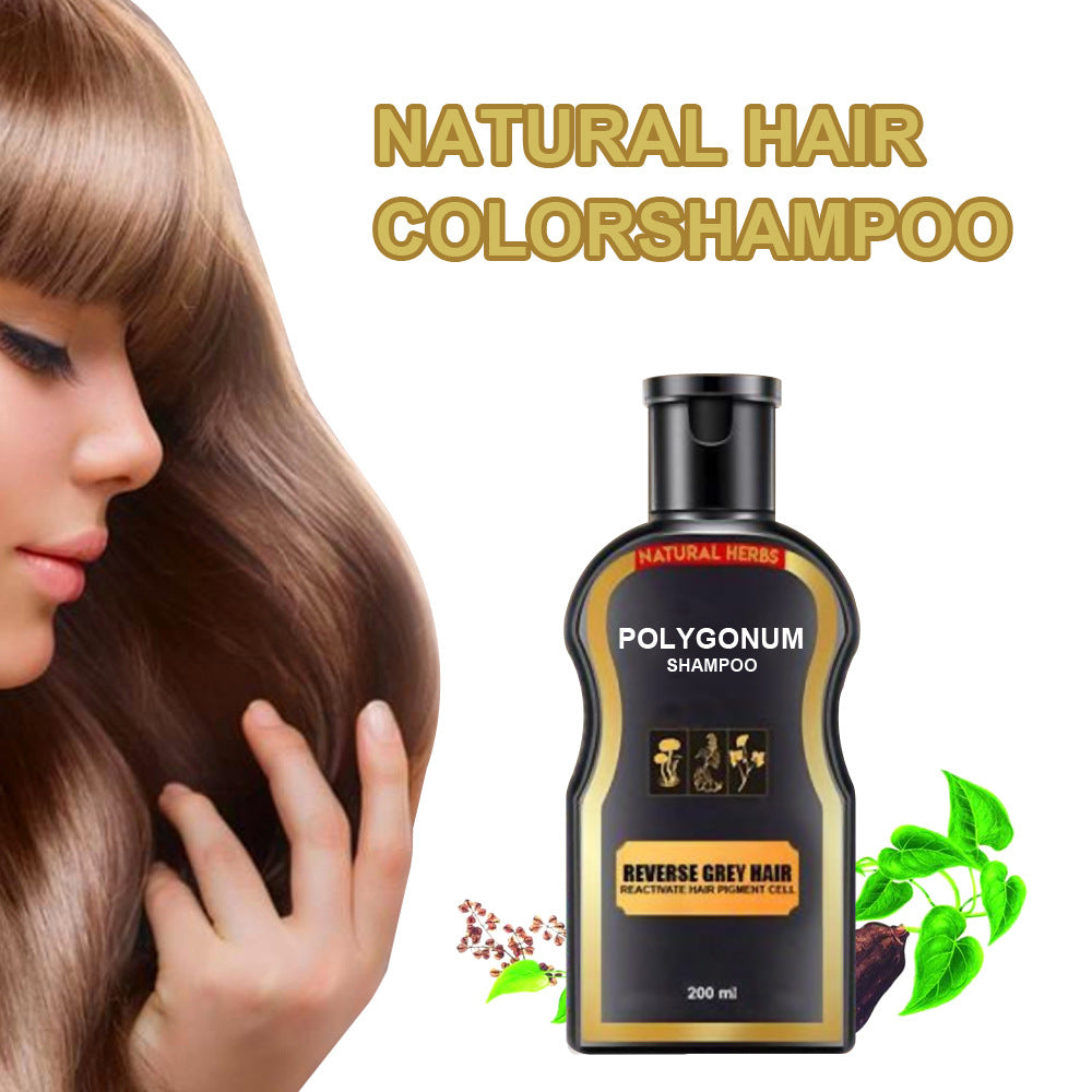 Polygonum Shampoo, Multiflorum Black Hair Thicking Shampoo, Darkening Black Hair Product