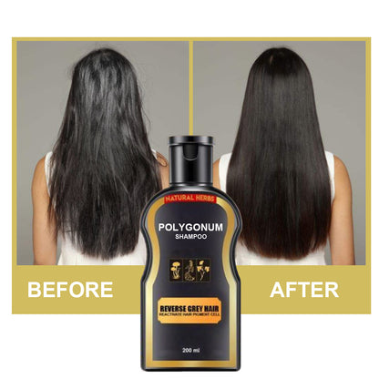Polygonum Shampoo, Multiflorum Black Hair Thicking Shampoo, Darkening Black Hair Product