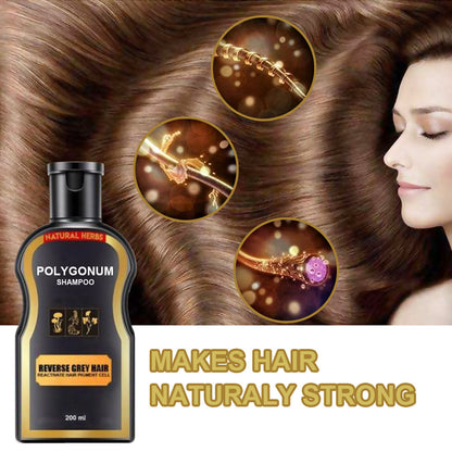 Polygonum Shampoo, Multiflorum Black Hair Shampoo, Darkening Black Hair Product