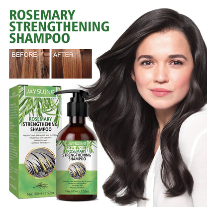 Rosemary Shampoo Can Control Oil Dryness And Rashness