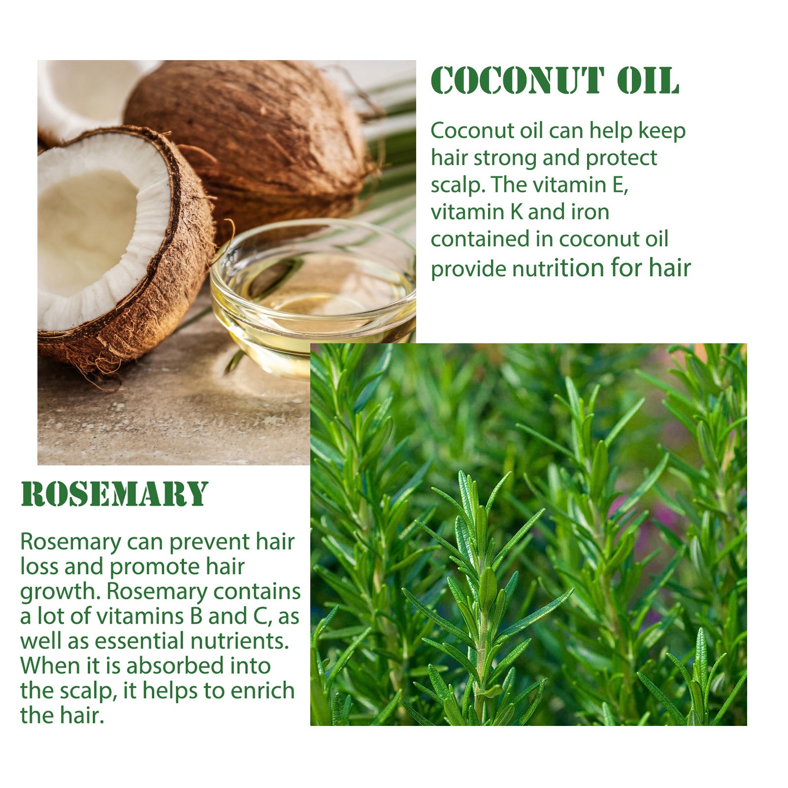 cocunt oil and hair oil